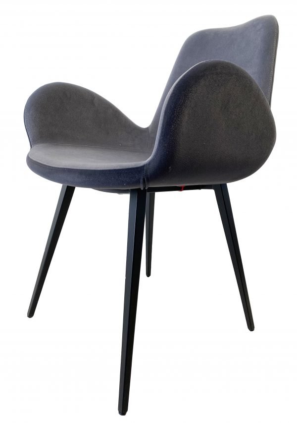 Dalia - Image 20