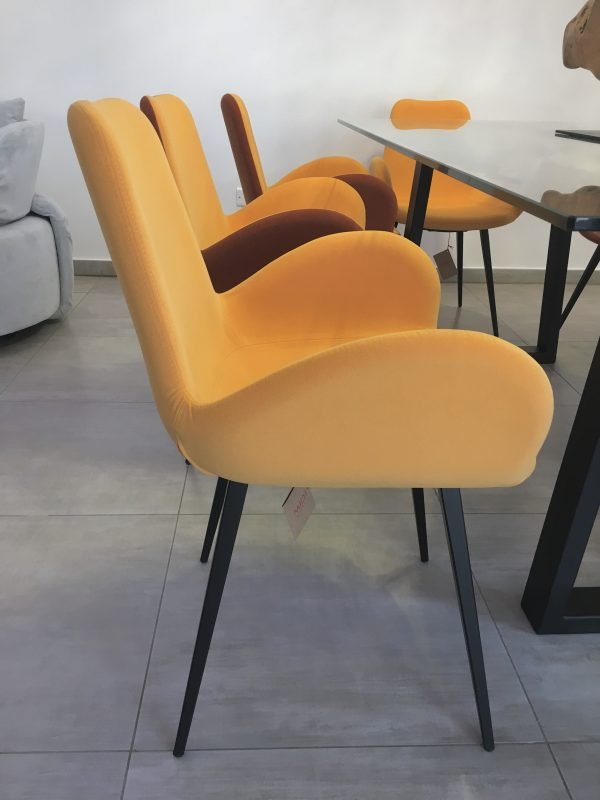 Dalia - Image 21