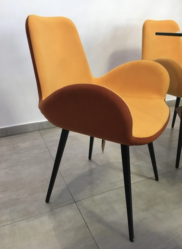 Dalia - Image 22