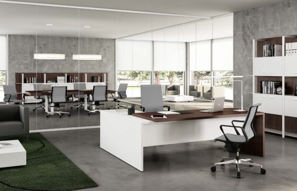Dinamica Soft - Image 3
