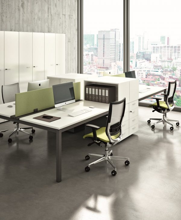 X4 - Image 12