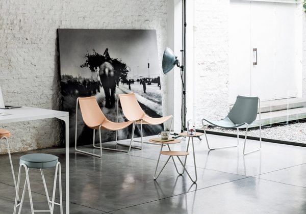 Apelle AT - Image 3