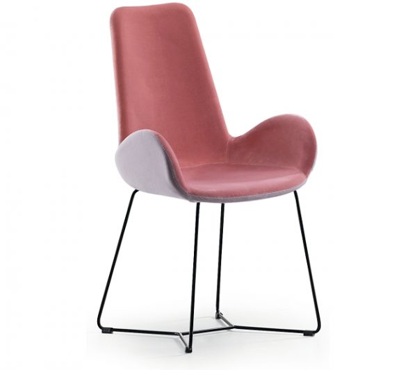 Dalia SG - Image 13