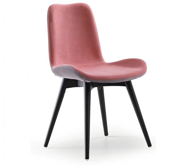 Dalia SG - Image 14