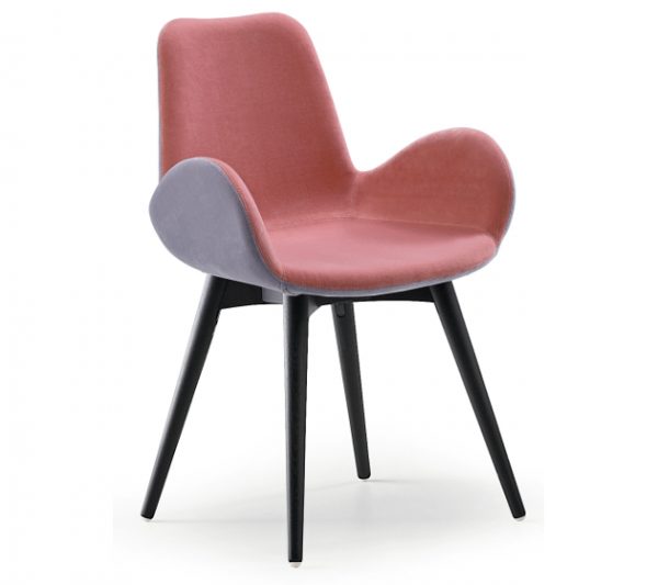 Dalia SG - Image 15