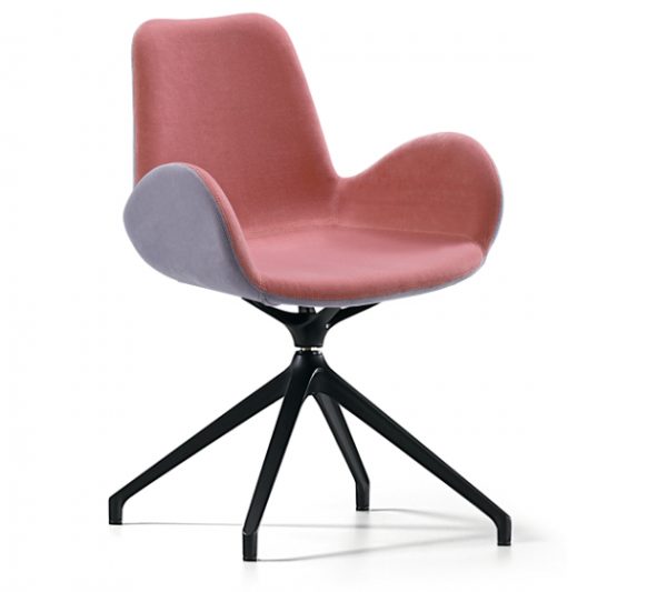 Dalia SG - Image 18