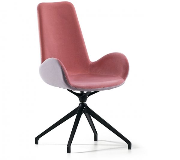 Dalia SG - Image 19