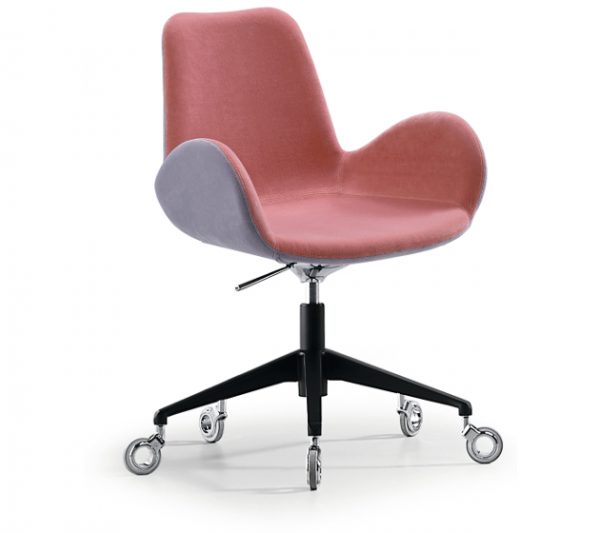 Dalia SG - Image 21