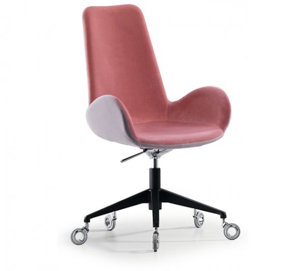 Dalia SG - Image 22