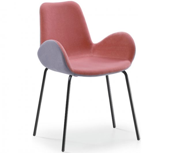 Dalia SG - Image 6