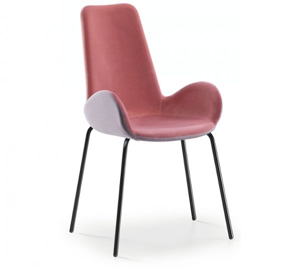 Dalia SG - Image 7