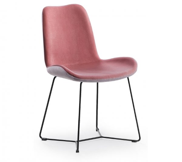 Dalia SG - Image 11