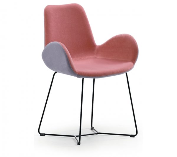 Dalia SG - Image 12