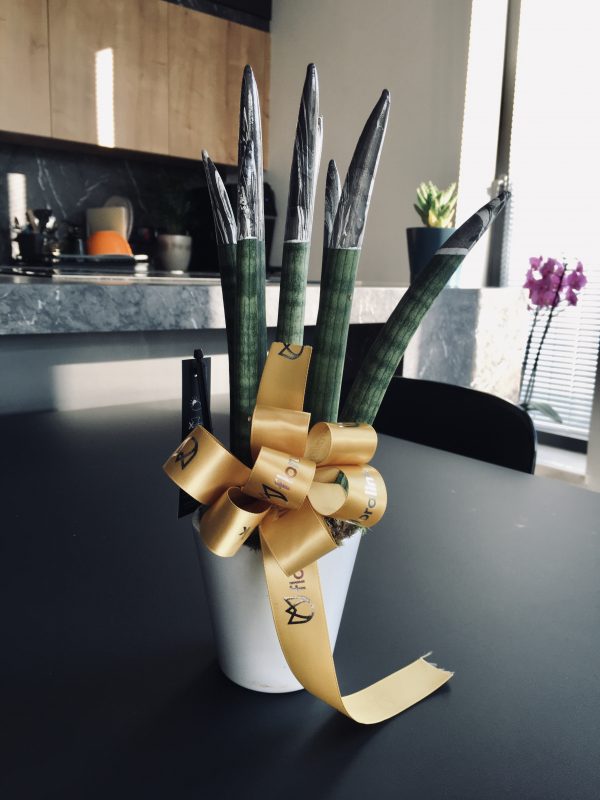 Blade - Image 13