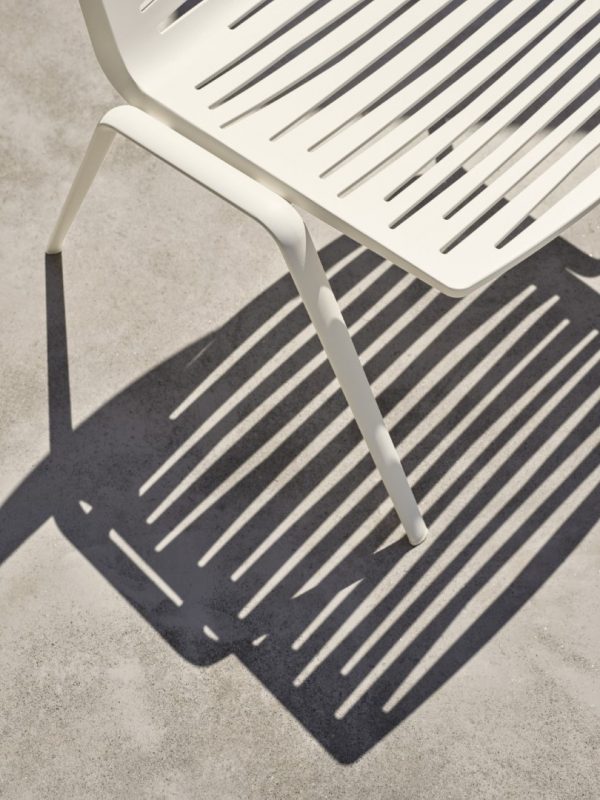 Zebra - Image 12
