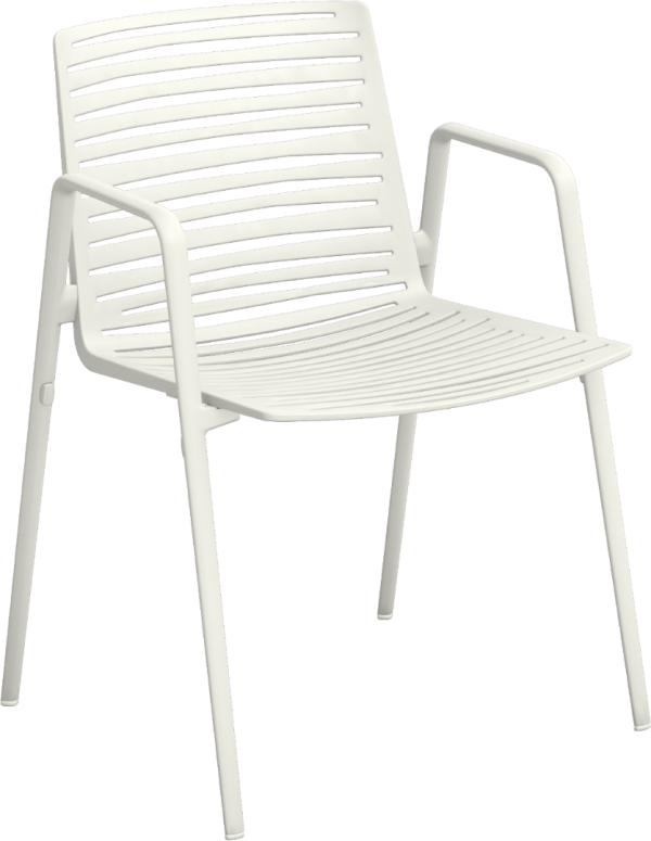 Zebra - Image 9