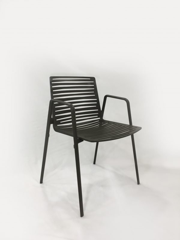 Zebra - Image 7