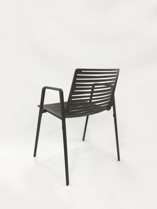Zebra - Image 8