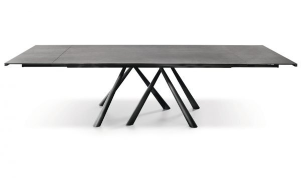 Forest T - Image 7