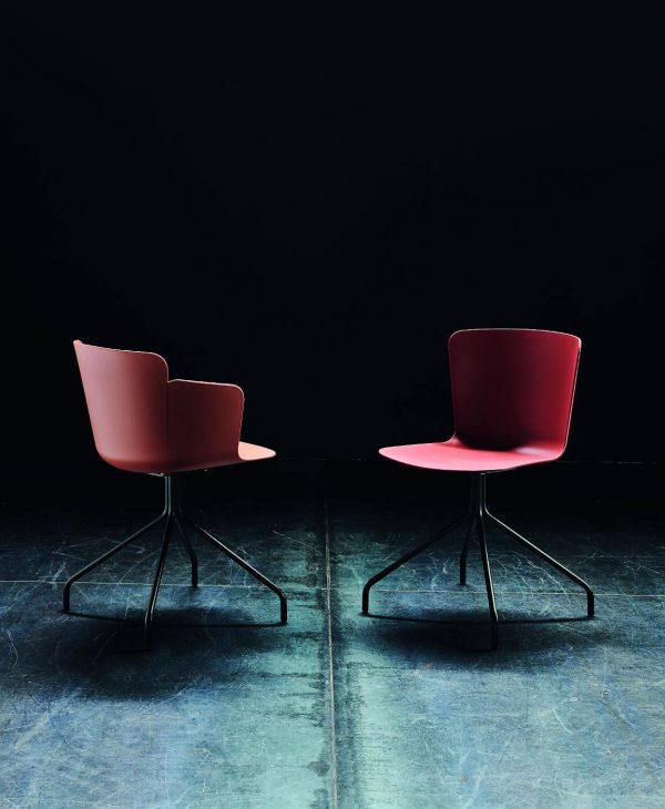Calla - Image 4