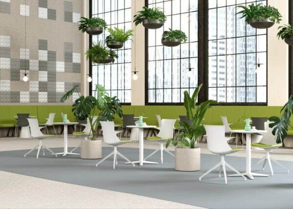 Tema - Image 3