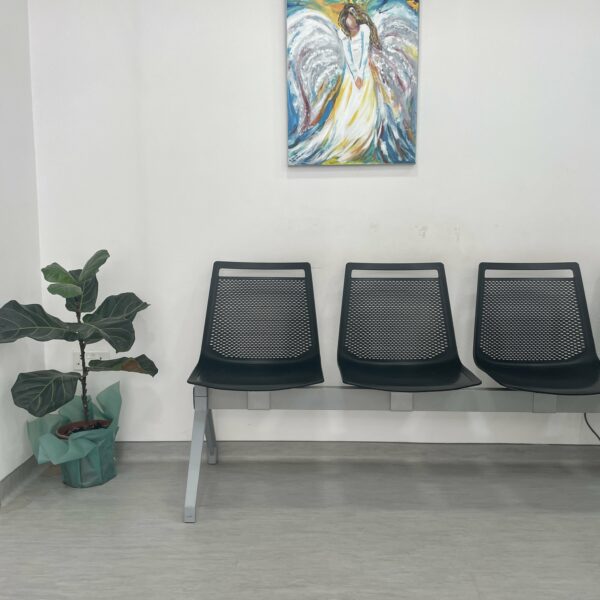 Akami Bench - Image 9