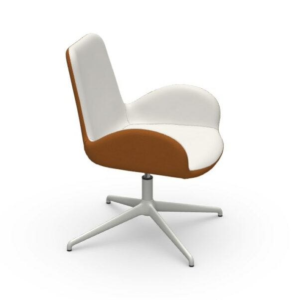 Dalia AT - Image 3
