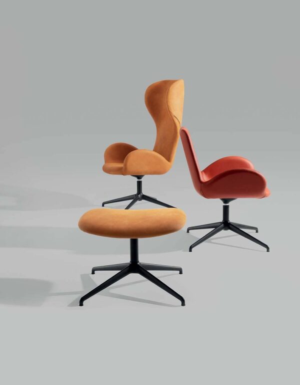 Dalia AT - Image 6