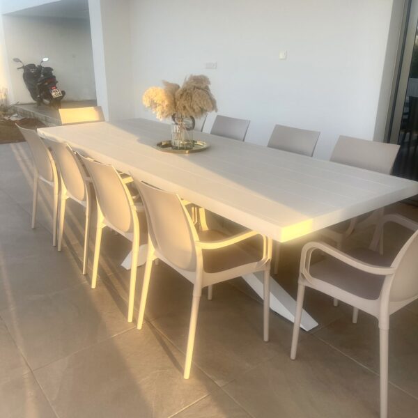 Millet - Image 3