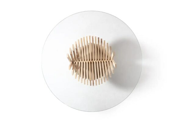 Nest - Image 6