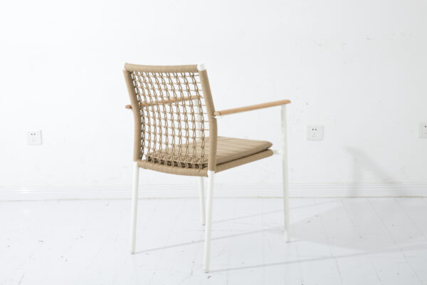 Pavia C - Image 3