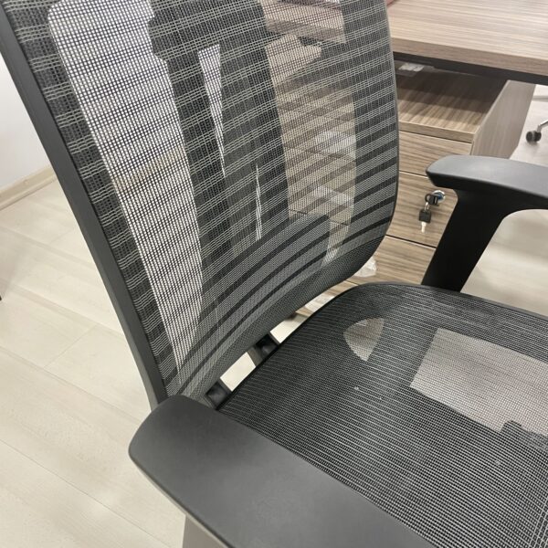 Aria H - Image 7