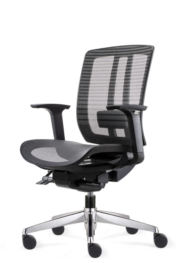 Aria M - Image 19