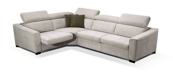 Ambassador - Image 6