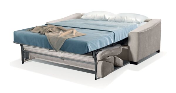 Ambassador - Image 4