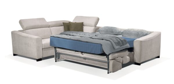 Ambassador - Image 2