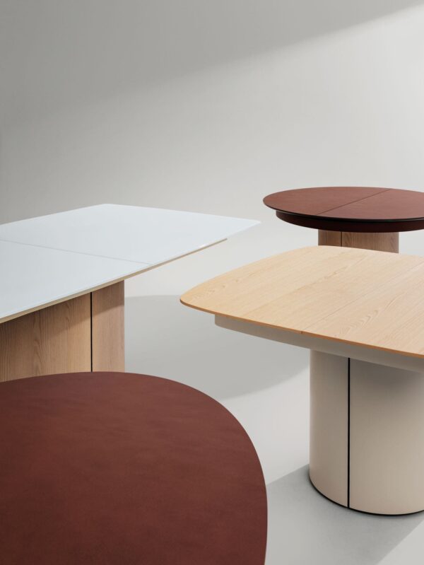 Sesamo - Image 12